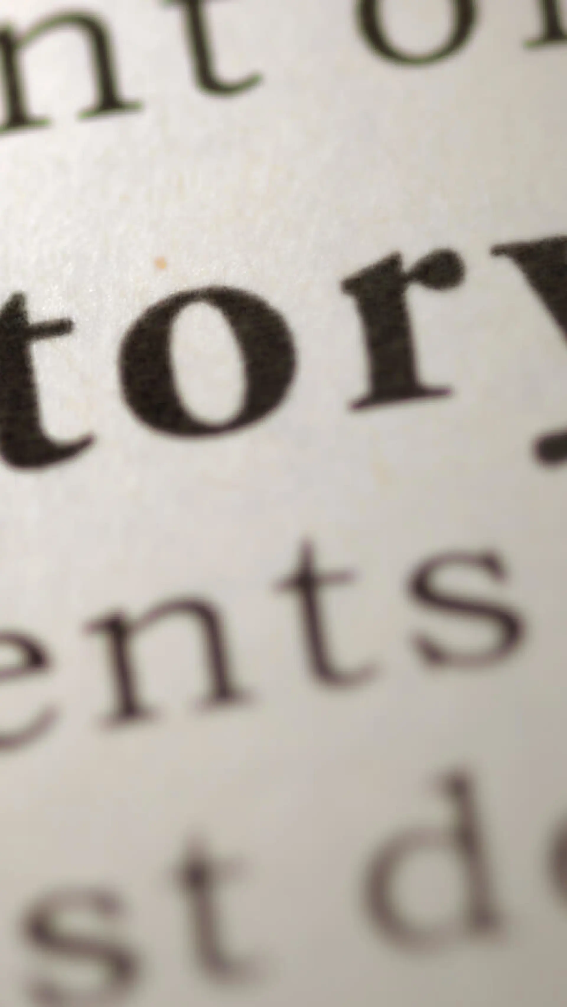 Geschiedenis, Filosofie & Samenleving