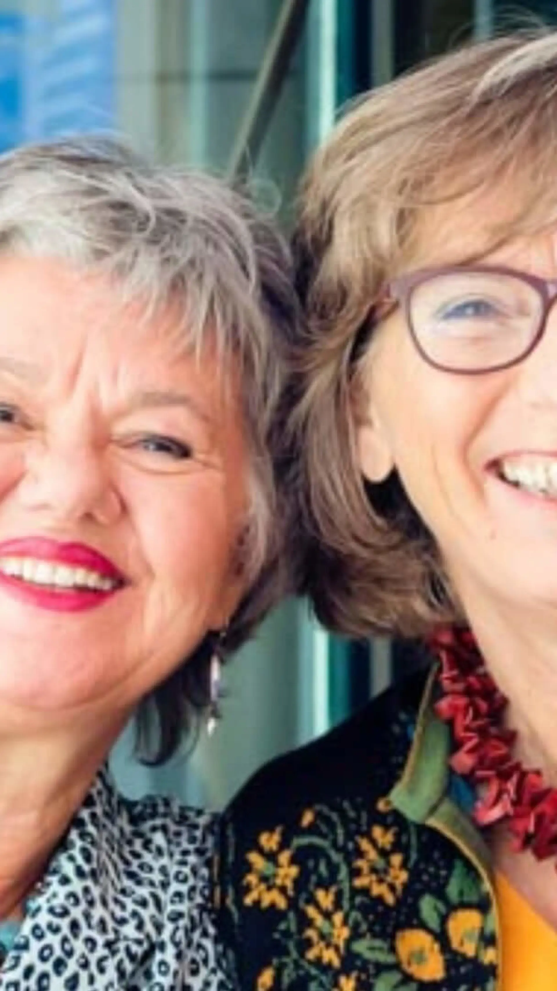 Maria Grijpma en Inge Jager - <p data-start="461" data-end="625">Ervaren auteurs en trainers die 'Positieve Gezondheid' en 'Klein Geluk' tastbaar maken voor zorg, welzijn en organisaties.</p>