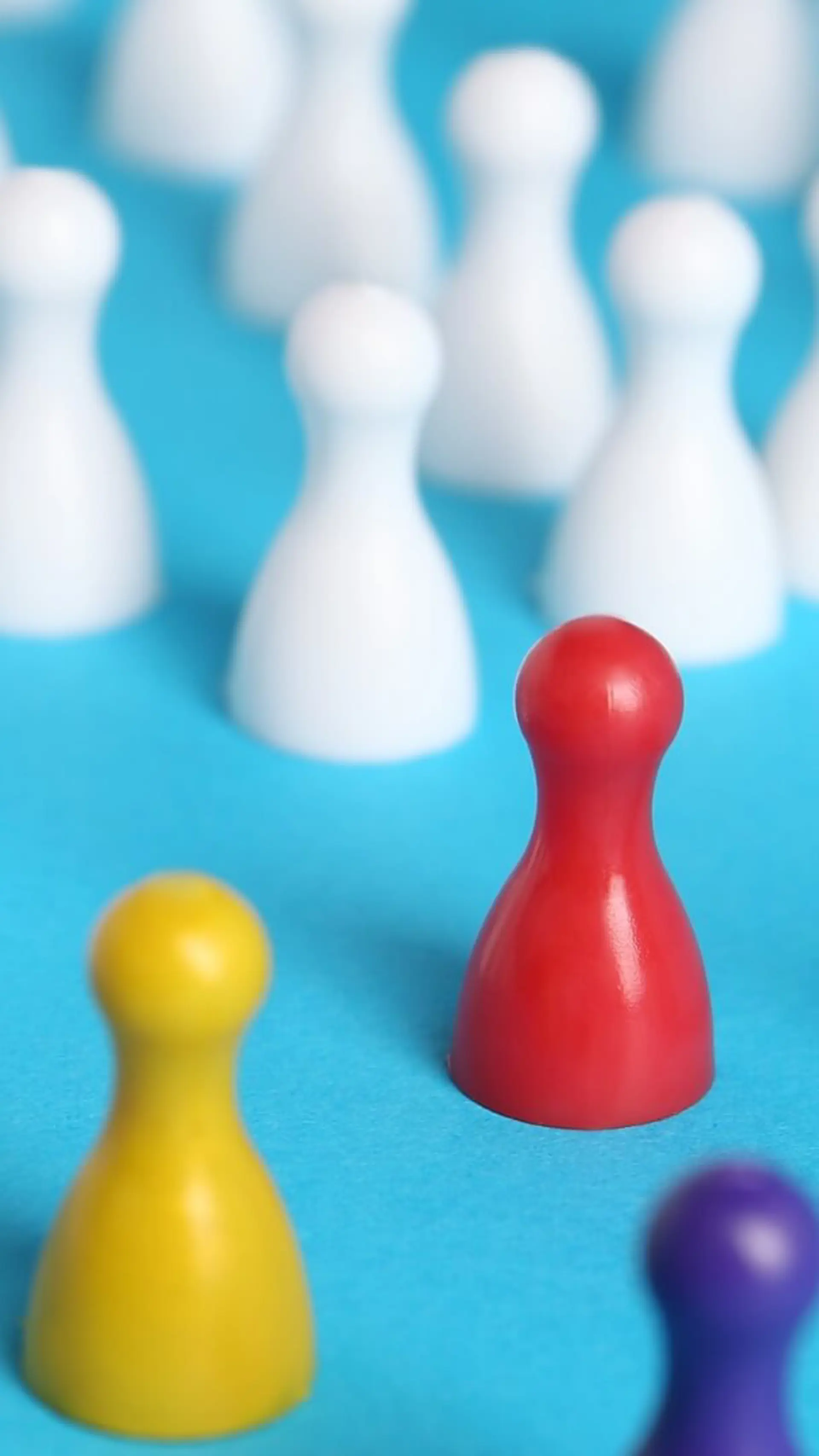 Diversiteit, Inclusie & Gelijkheid